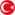 Turkish language version